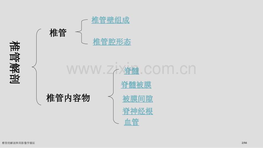 椎管的解剖和其影像学循征.pptx_第2页