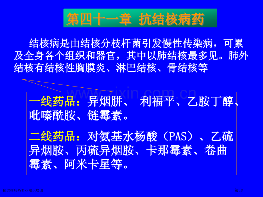 抗结核病药专业知识培训专家讲座.pptx_第1页