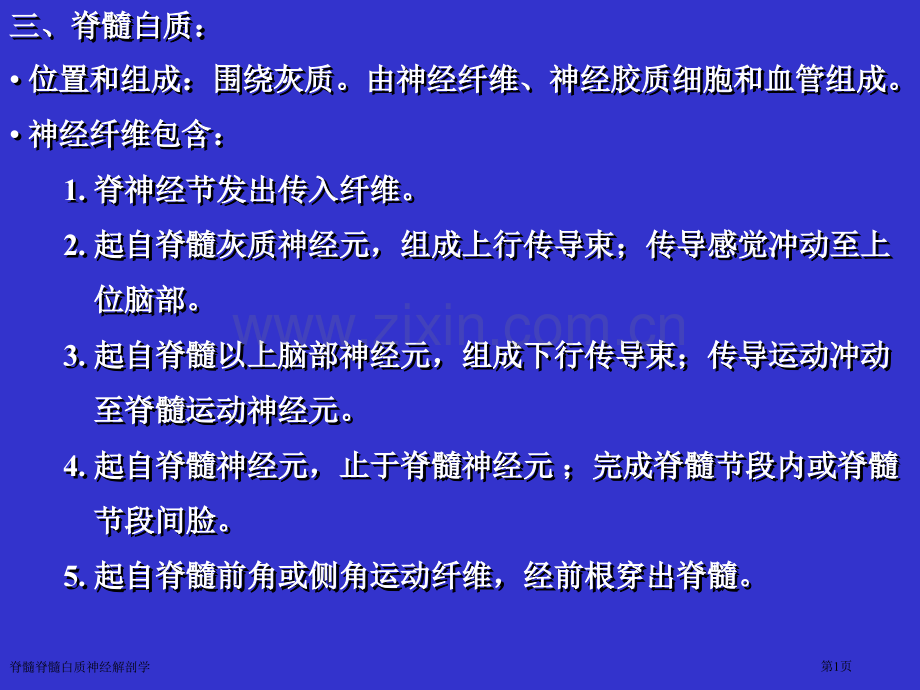 脊髓脊髓白质神经解剖学专家讲座.pptx_第1页