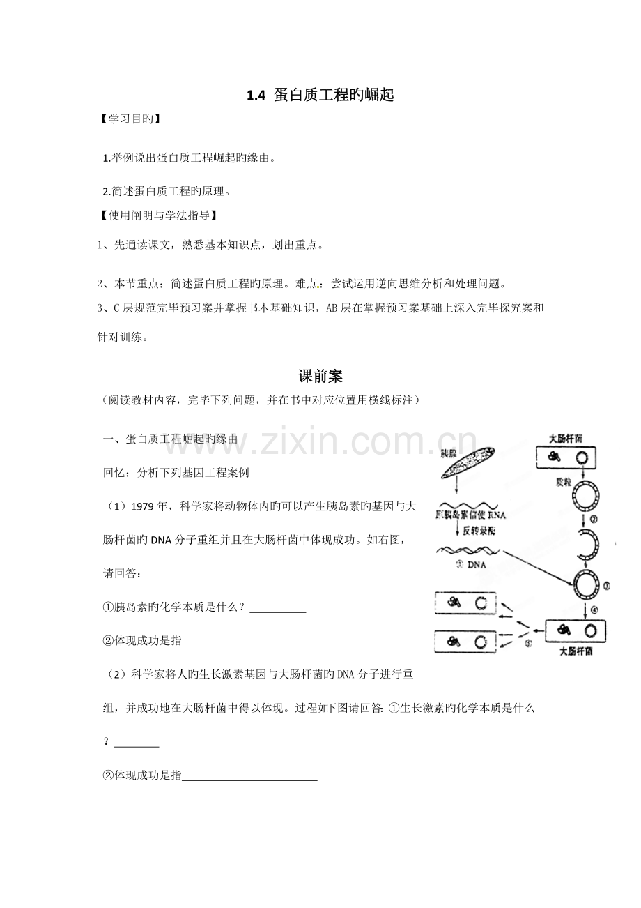 蛋白质工程的崛起导学案(2).doc_第1页