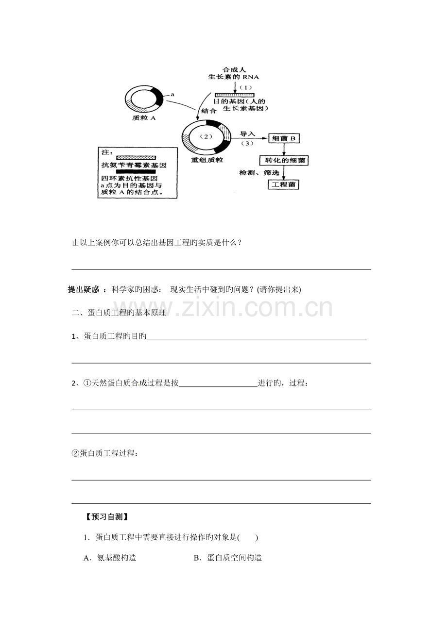 蛋白质工程的崛起导学案(2).doc_第2页