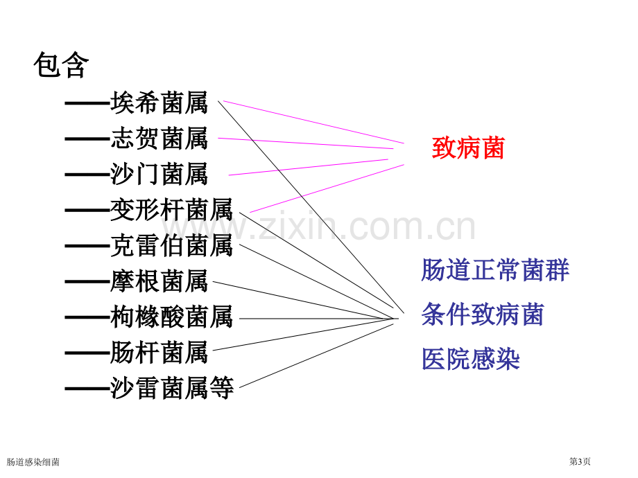 肠道感染细菌专家讲座.pptx_第3页