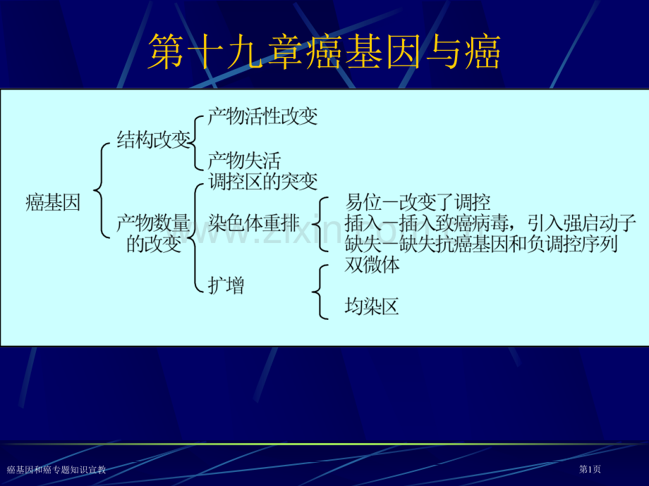 癌基因和癌专题知识宣教专家讲座.pptx_第1页