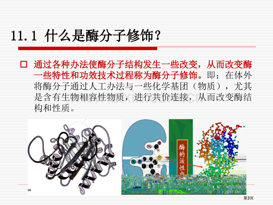 生物催化与生物转化IV公开课一等奖优质课大赛微课获奖课件.pptx_第3页