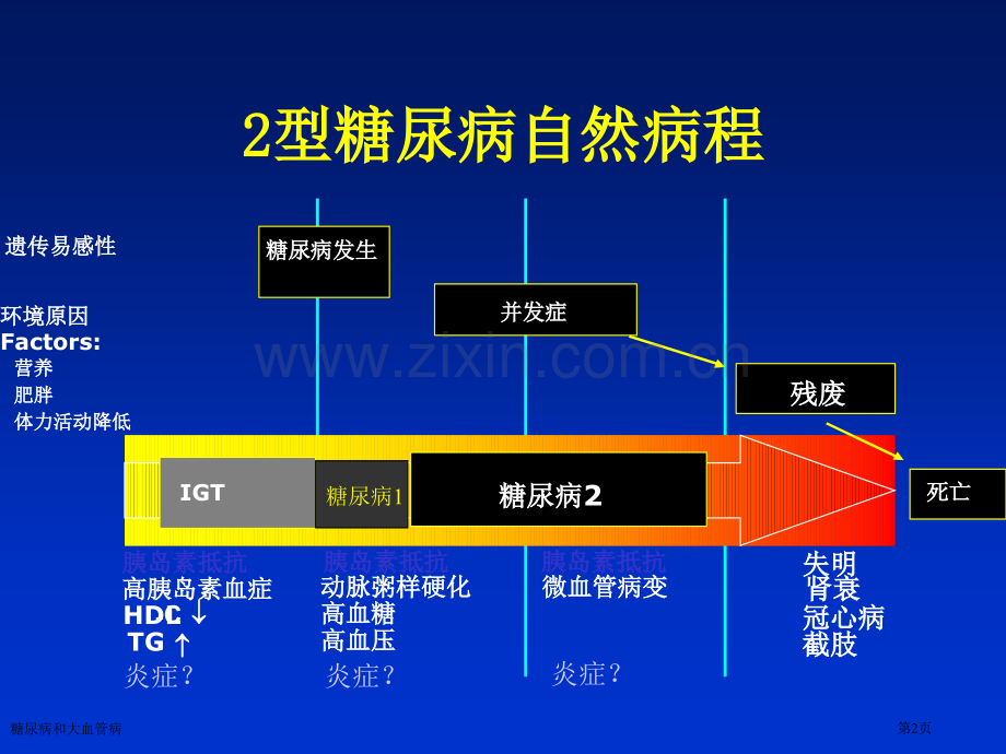 糖尿病和大血管病专家讲座.pptx_第2页