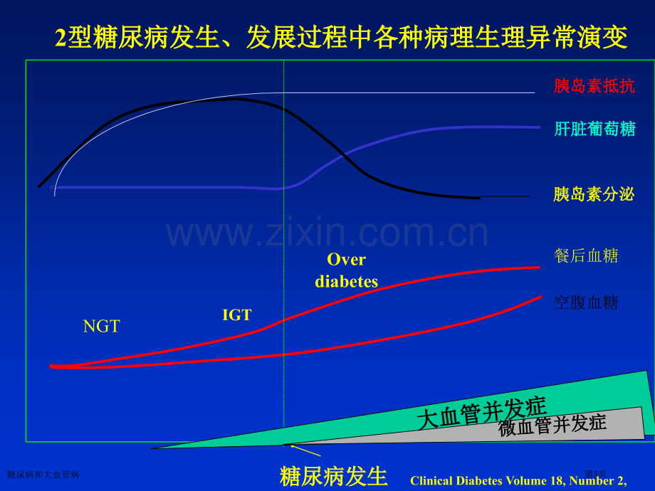 糖尿病和大血管病专家讲座.pptx_第3页