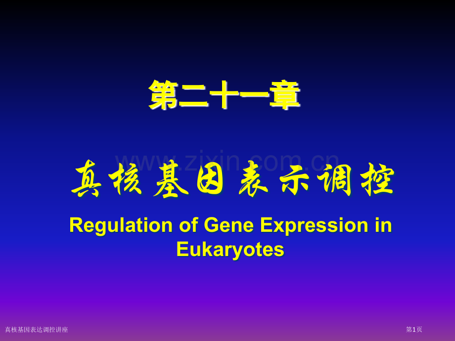 真核基因表达调控讲座专家讲座.pptx_第1页