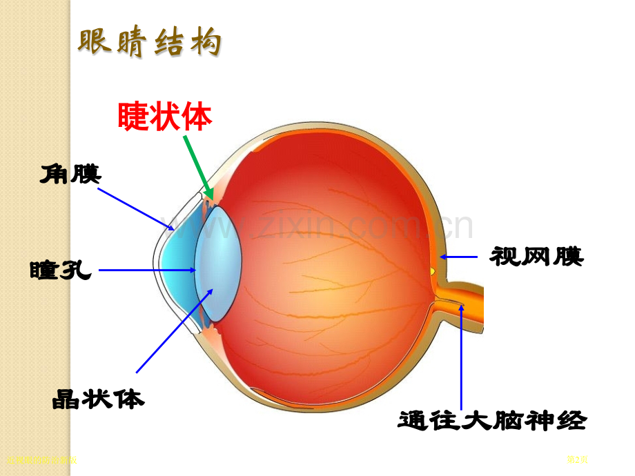 近视眼的防治新版.pptx_第2页