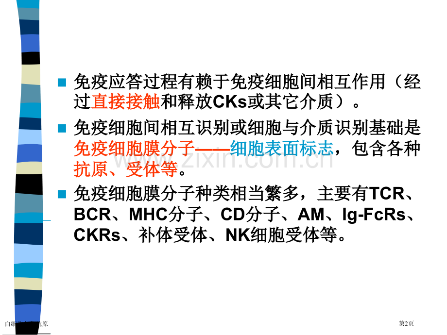 白细胞分化抗原专家讲座.pptx_第2页