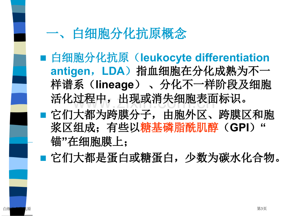 白细胞分化抗原专家讲座.pptx_第3页