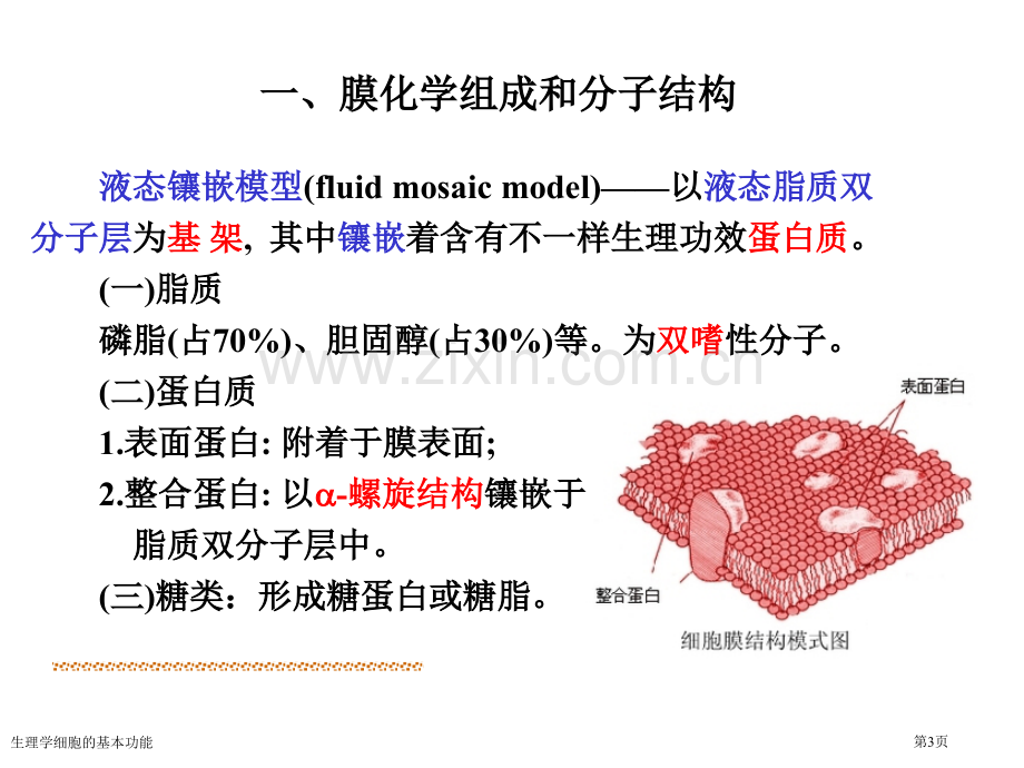 生理学细胞的基本功能.pptx_第3页