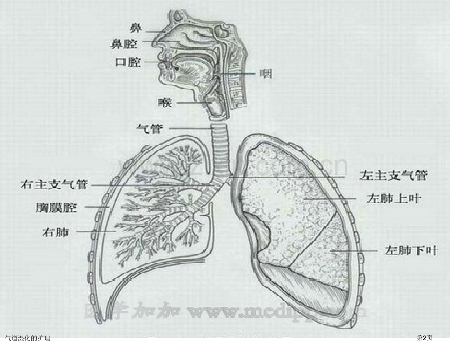 气道湿化的护理.pptx_第2页