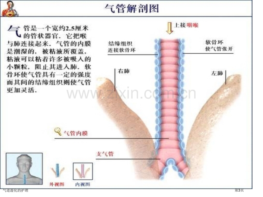 气道湿化的护理.pptx_第3页