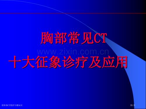 看肺部CT绝招专题知识专家讲座.pptx