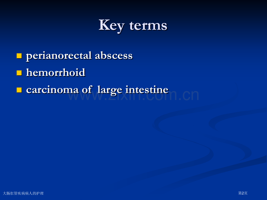 大肠肛管疾病病人的护理专家讲座.pptx_第2页