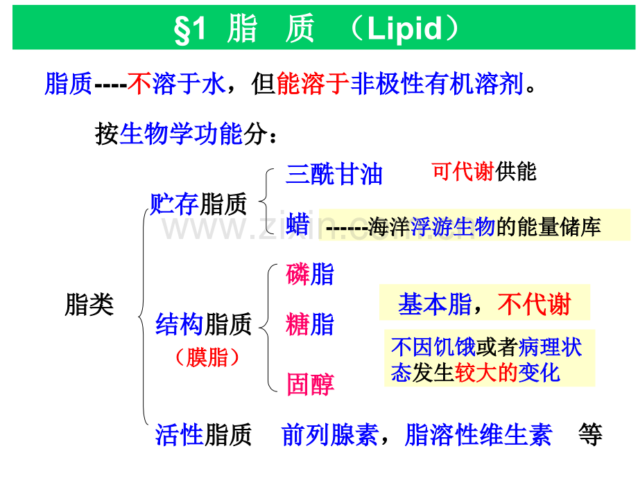 -脂质与生物膜.pptx_第2页