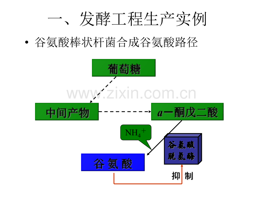 高三生物微生物与发酵工程公开课一等奖优质课大赛微课获奖课件.pptx_第2页