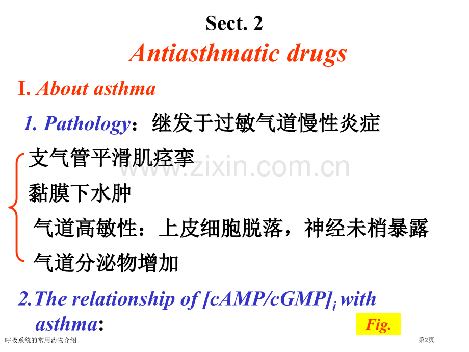 呼吸系统的常用药物介绍.pptx_第2页