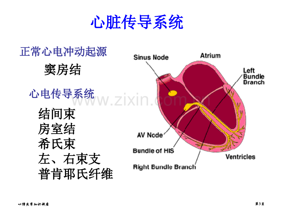 心律失常知识讲座专家讲座.pptx_第3页