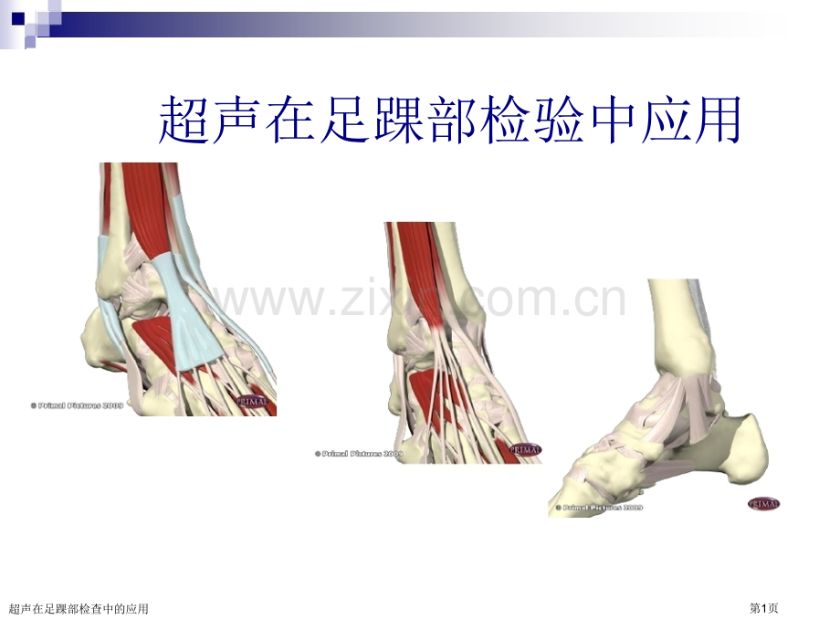 超声在足踝部检查中的应用.pptx_第1页