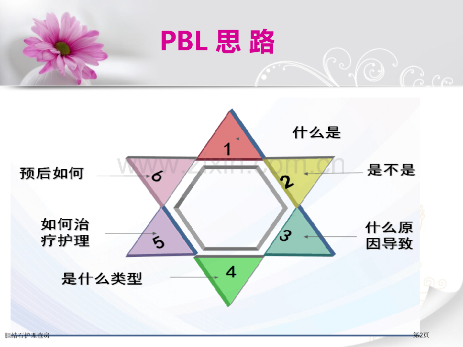 胆结石护理查房.pptx_第2页