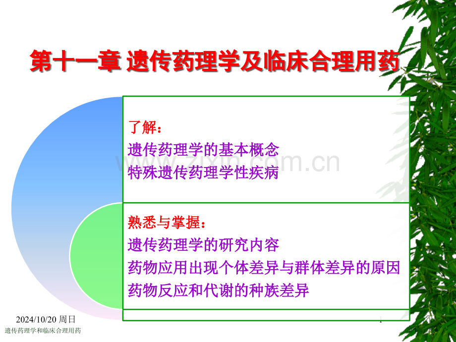 遗传药理学和临床合理用药专家讲座.pptx_第1页