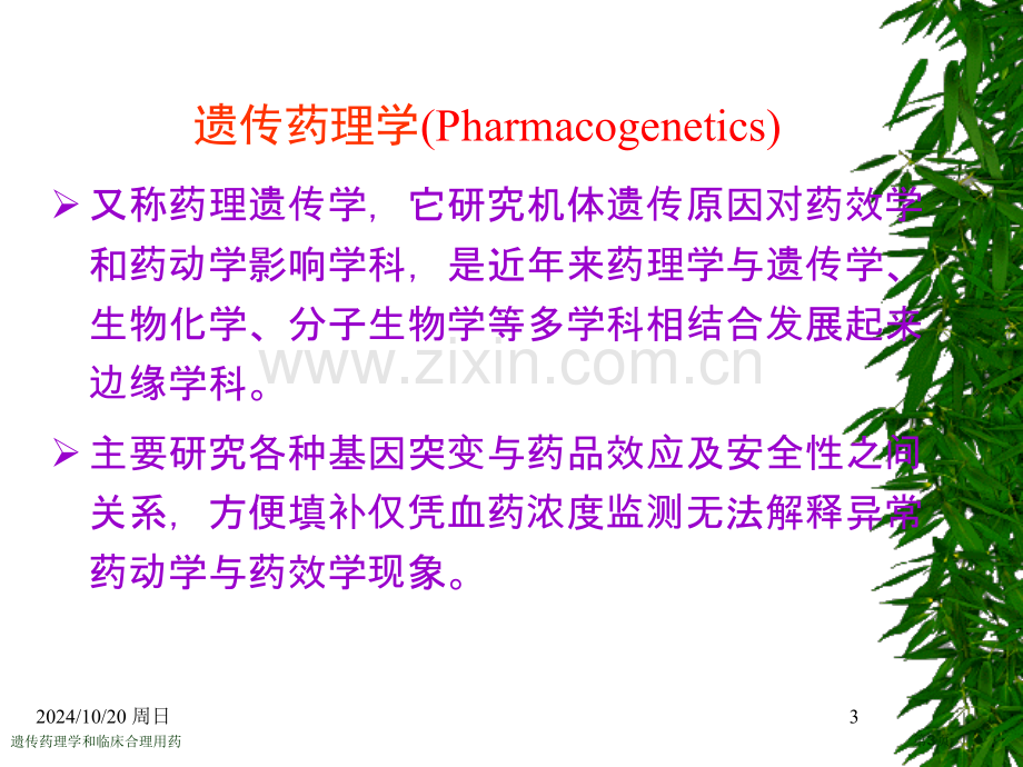 遗传药理学和临床合理用药专家讲座.pptx_第3页