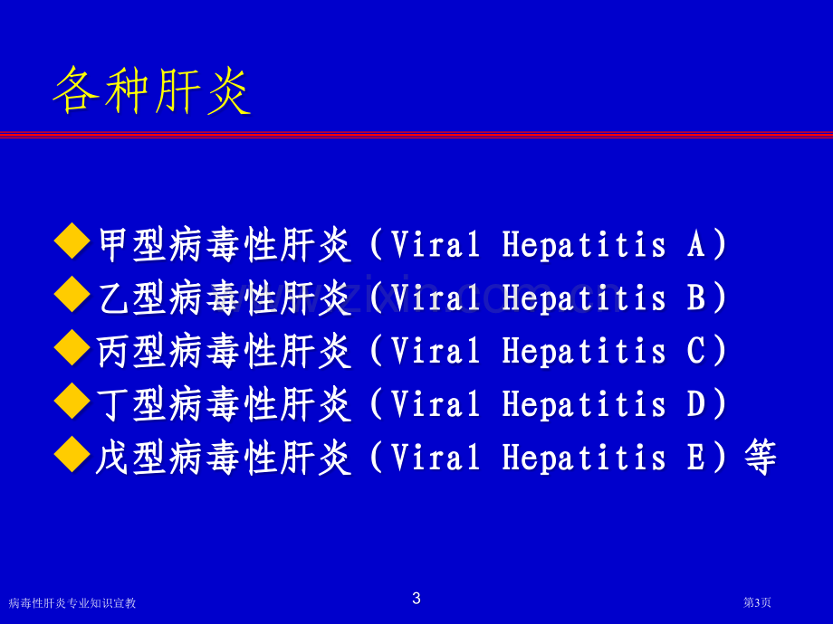 病毒性肝炎专业知识宣教.pptx_第3页