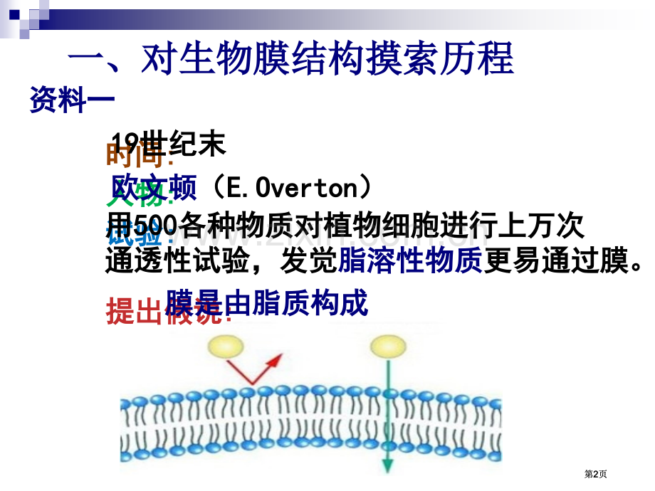 生物膜的流动镶嵌模型课件市公开课金奖市赛课一等奖课件.pptx_第2页