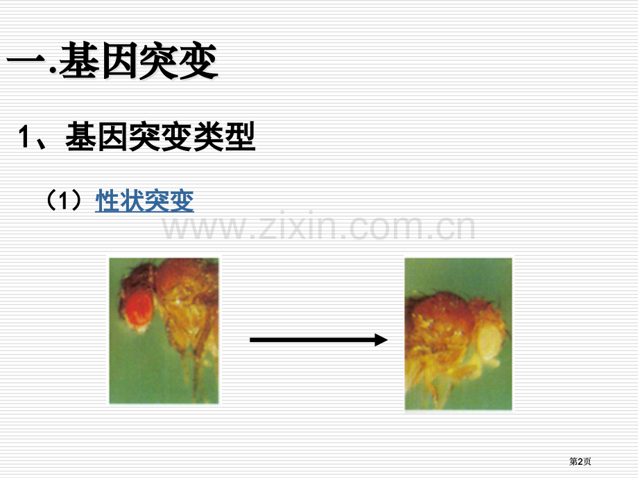 生物变异的来源市公开课金奖市赛课一等奖课件.pptx_第2页