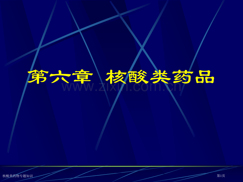 核酸类药物专题知识专家讲座.pptx_第1页