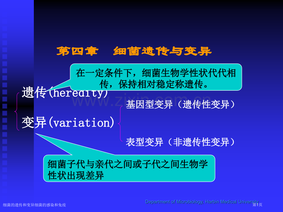 细菌的遗传和变异细菌的感染和免疫专家讲座.pptx_第1页