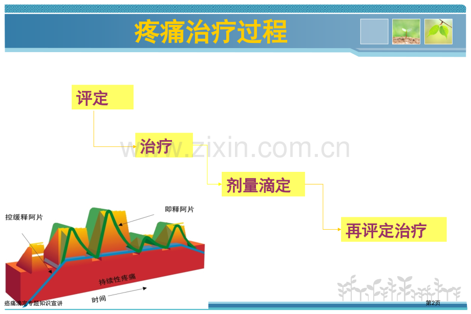 癌痛滴定专题知识宣讲专家讲座.pptx_第2页