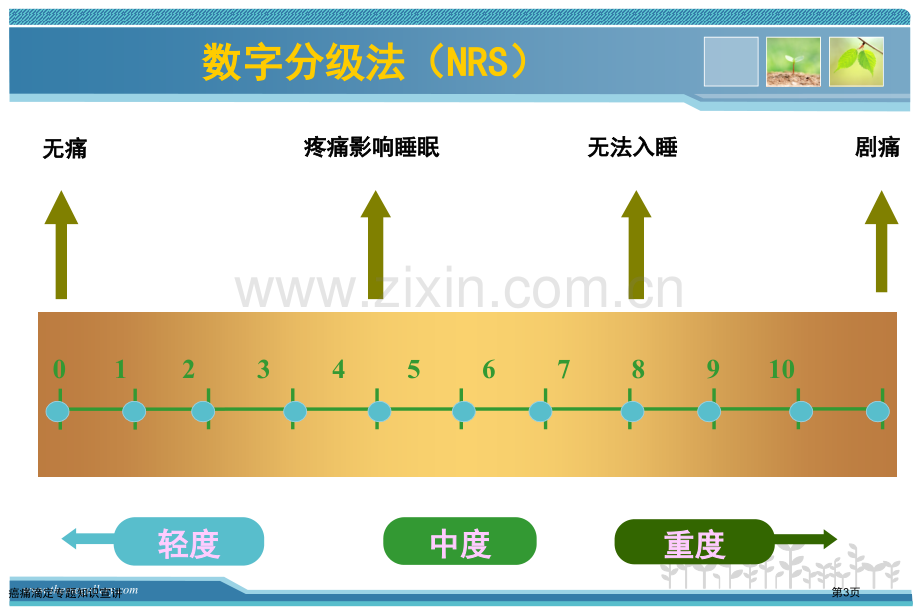 癌痛滴定专题知识宣讲专家讲座.pptx_第3页