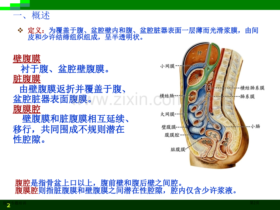 腹膜专题培训专家讲座.pptx_第2页