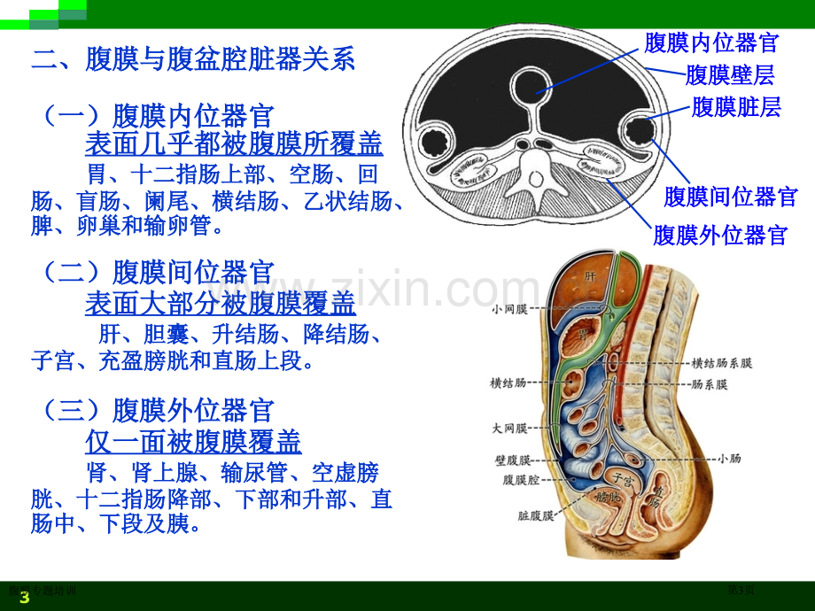 腹膜专题培训专家讲座.pptx_第3页