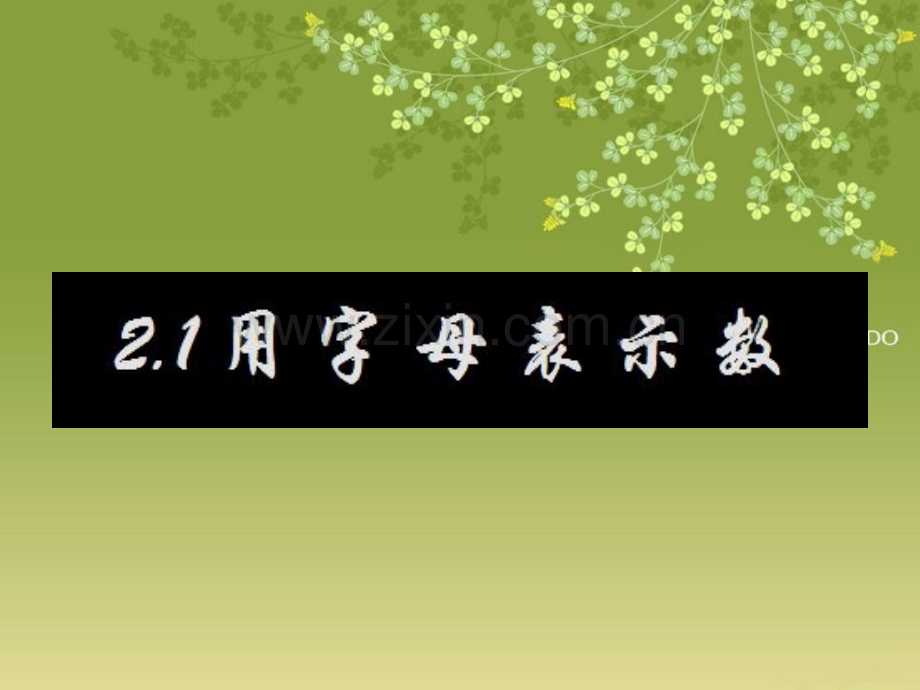 211用字母表示数.pptx_第1页