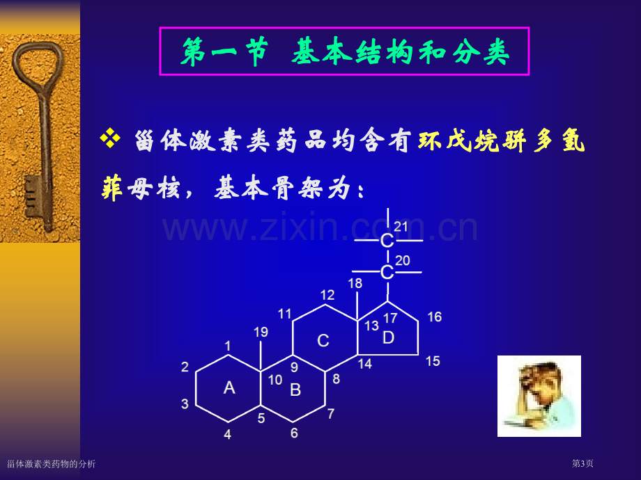 甾体激素类药物的分析专家讲座.pptx_第3页