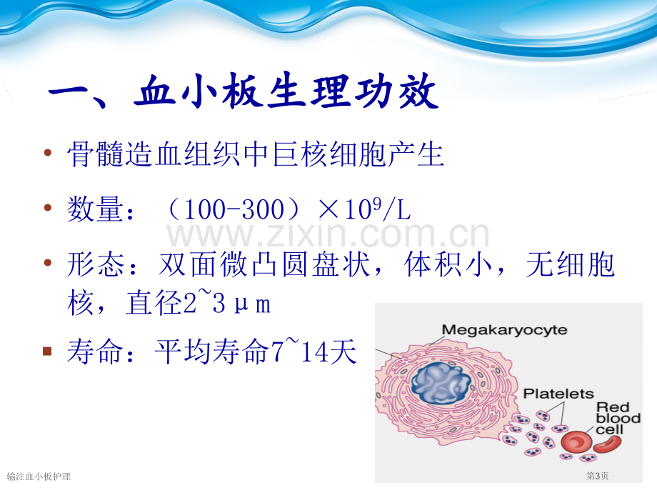 输注血小板护理.pptx_第3页