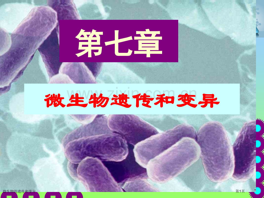 微生物的遗传和变异专家讲座.pptx_第1页