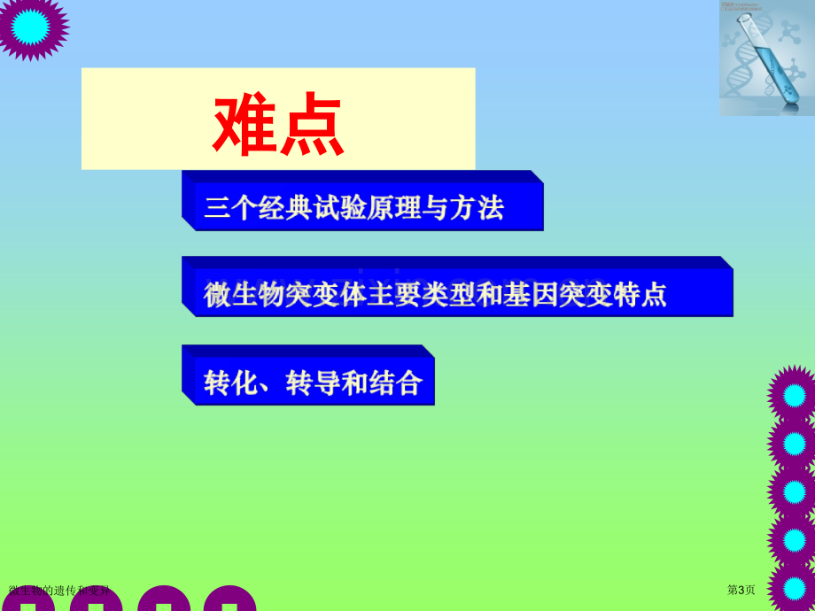 微生物的遗传和变异专家讲座.pptx_第3页