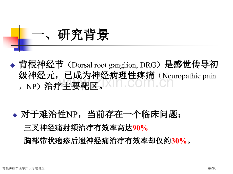 背根神经节医学知识专题讲座.pptx_第2页