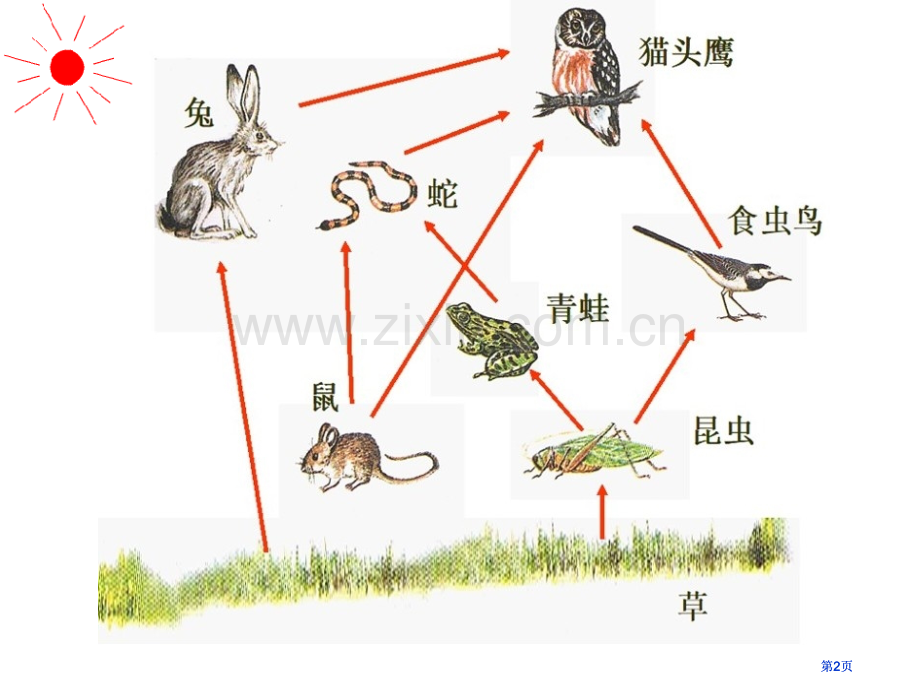 生物和环境是统一体公开课一等奖优质课大赛微课获奖课件.pptx_第2页