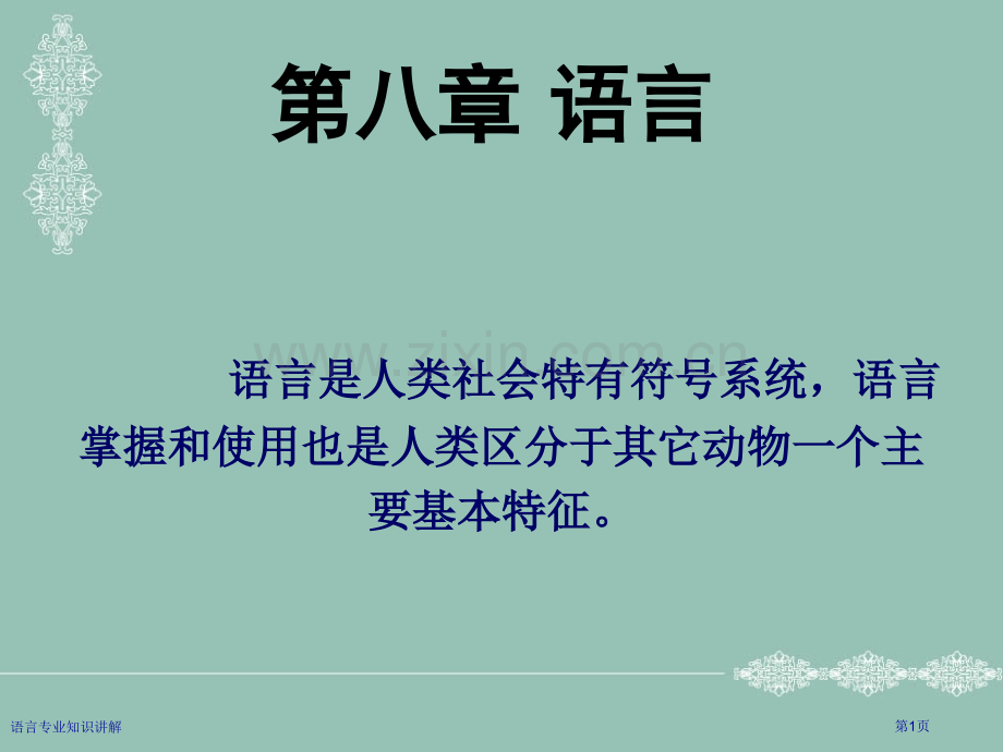 语言专业知识讲解专家讲座.pptx_第1页