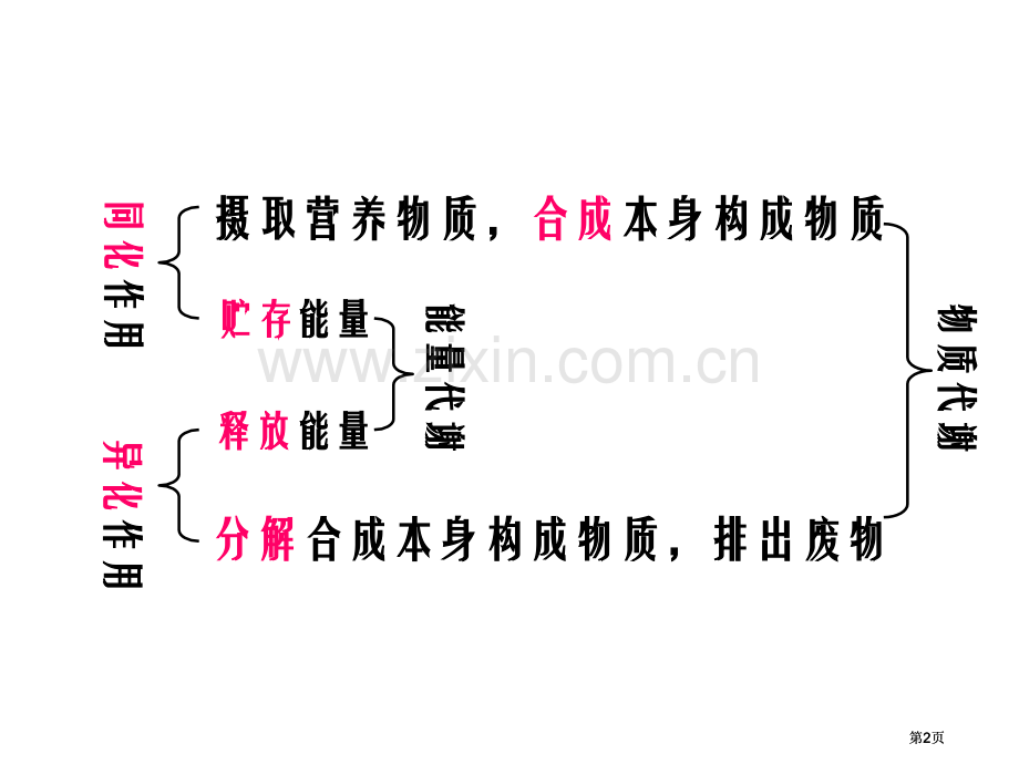 生物体内的化学反应公开课一等奖优质课大赛微课获奖课件.pptx_第2页