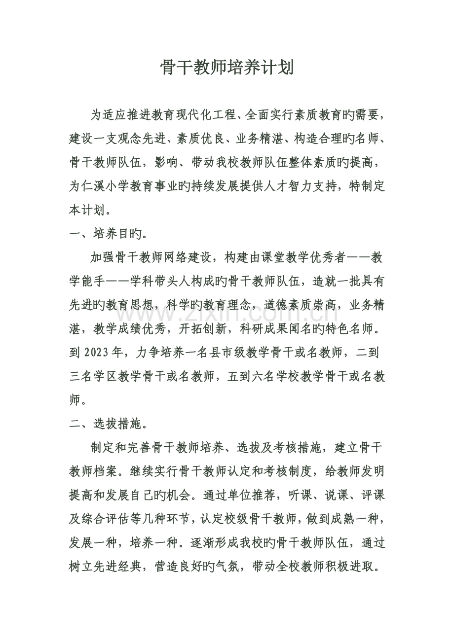 骨干教师培养规划.doc_第1页