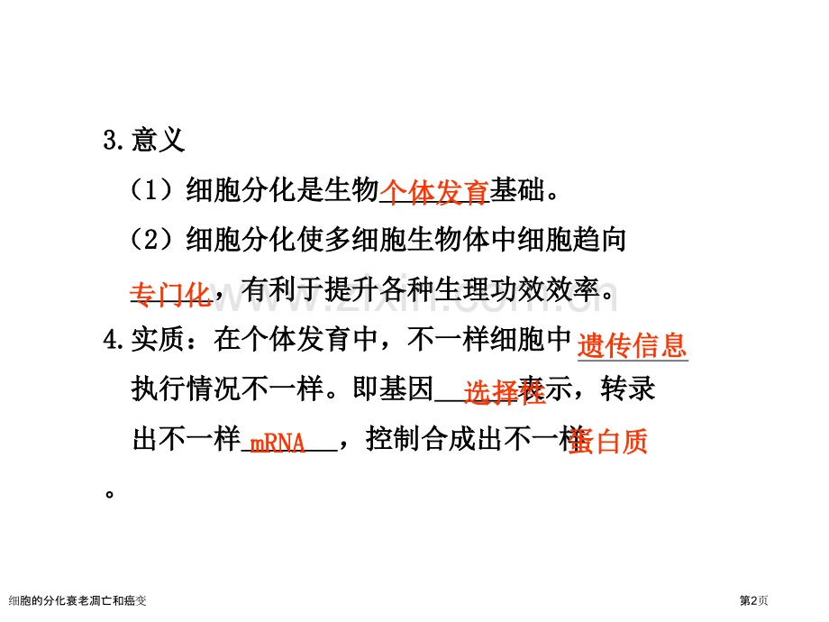 细胞的分化衰老凋亡和癌变专家讲座.pptx_第2页