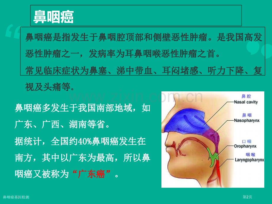 鼻咽癌基因检测专家讲座.pptx_第2页