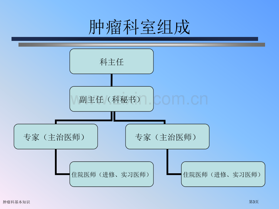 肿瘤科基本知识专家讲座.pptx_第3页