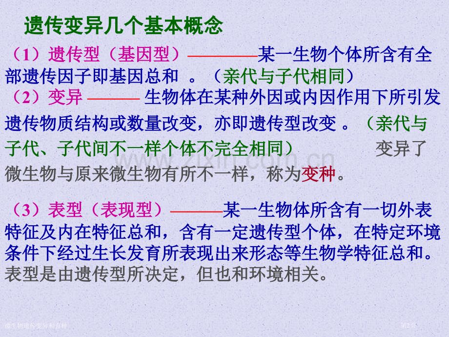 微生物遗传变异和育种专家讲座.pptx_第2页